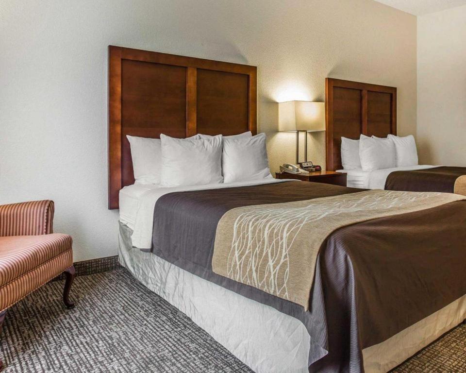 Comfort Inn & Suites Camden Eksteriør billede